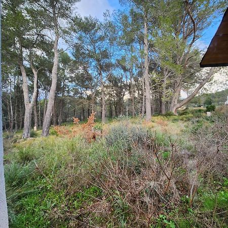 A l'Orée des pins - Gite indépendant avec baignoire balnéo et Home Cinéma en sup - Voir info de l'hôte Cuges-les-Pins Exterior foto