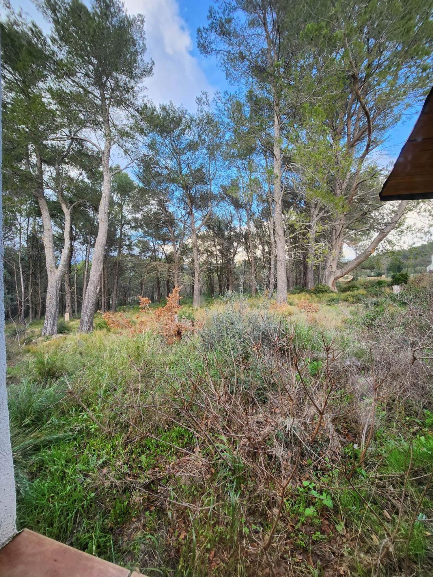 A l'Orée des pins - Gite indépendant avec baignoire balnéo et Home Cinéma en sup - Voir info de l'hôte Cuges-les-Pins Exterior foto